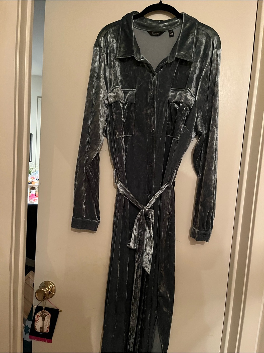 G by Giuliana Lt Green Crushed Velvet Midi Shirt Dress, 2x